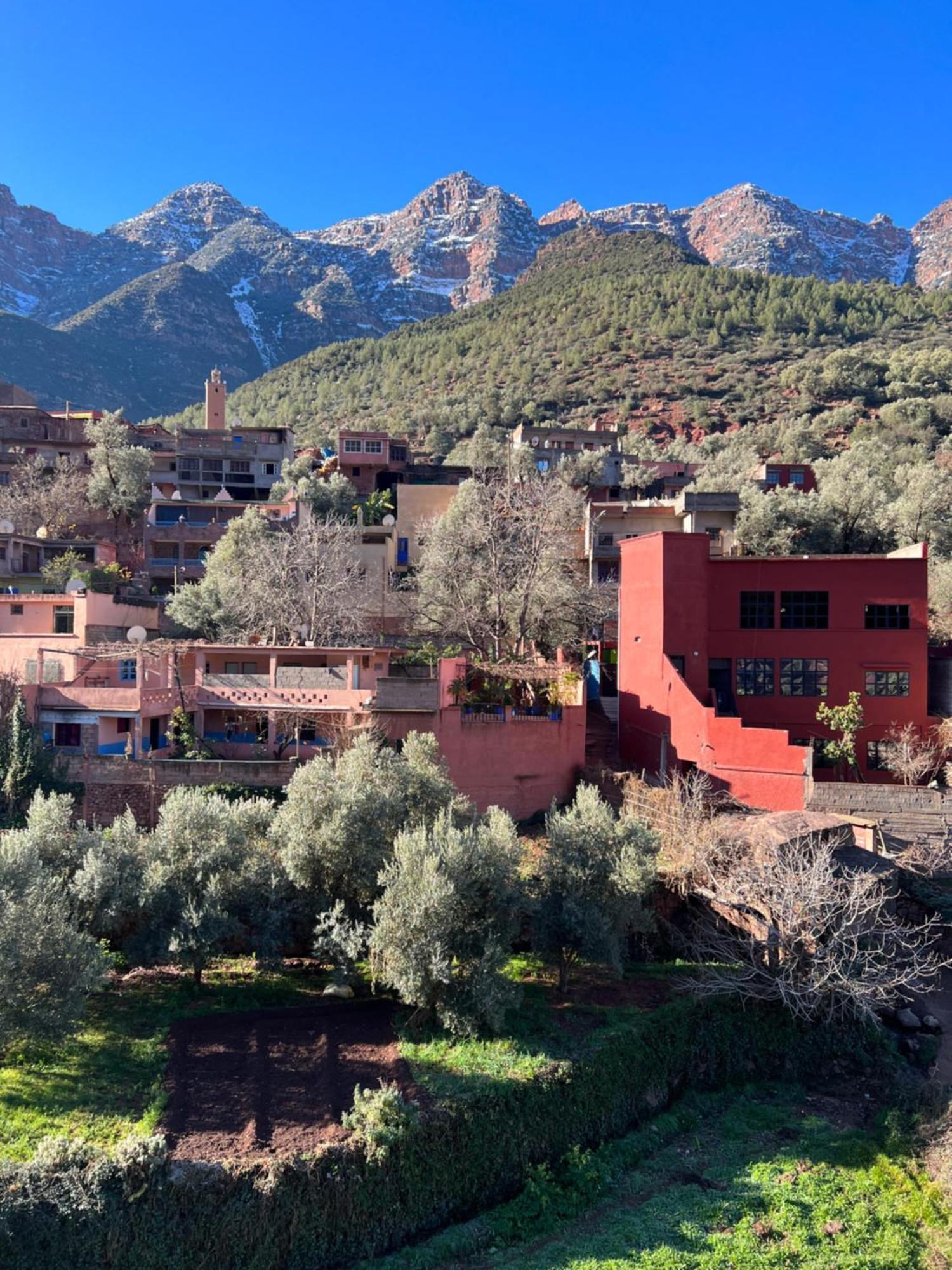 Tazart Lodge Μαρακές Εξωτερικό φωτογραφία